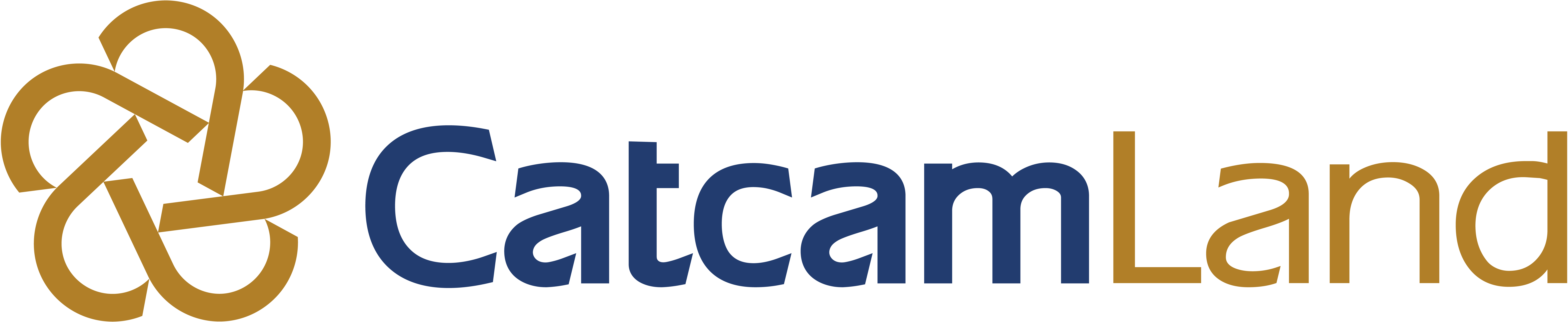 CatcamLand